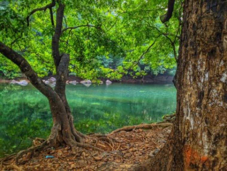 Sanjay Gandhi Park_4